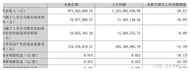 利大降 曾举债22亿跨界新能源麻将胡了游戏南方黑芝麻上半年净(图2)